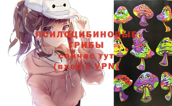 винт Арсеньев