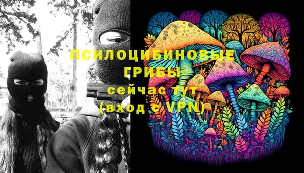 винт Арсеньев